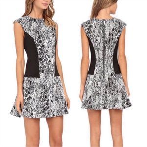 Ted Baker Mini Dress Black